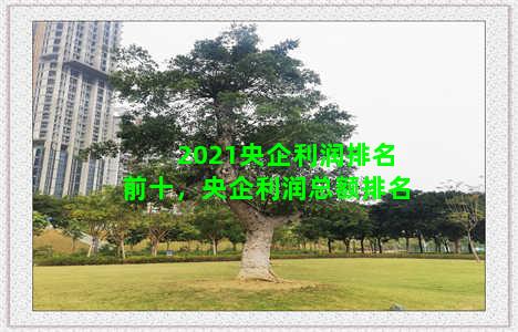 2021央企利润排名前十，央企利润总额排名