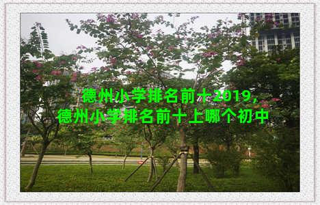 德州小学排名前十2019，德州小学排名前十上哪个初中