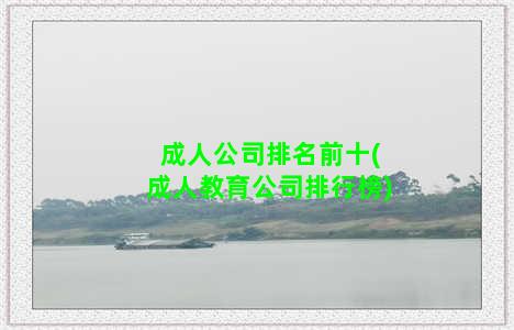 成人公司排名前十(成人教育公司排行榜)