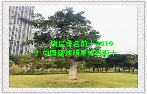 明星排名前十2019？中国篮球明星排名前十