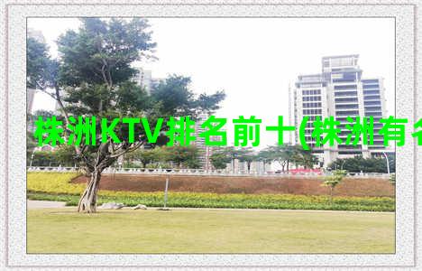 株洲KTV排名前十(株洲有名气的ktv)