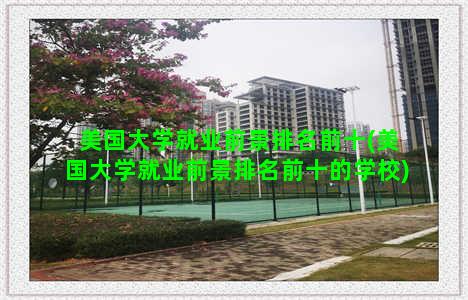 美国大学就业前景排名前十(美国大学就业前景排名前十的学校)